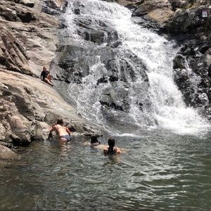 Meet your Posher, Chelsea